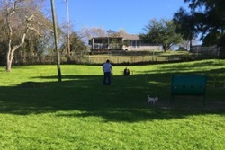 Kaiah Dog Park, Corpus Christi dog parks, dog activities, dog parks near Corpus Christi, dog beaches
